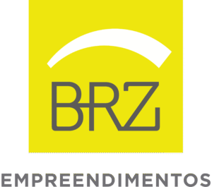 BRZ AMARELA CINZA_PNG (2)